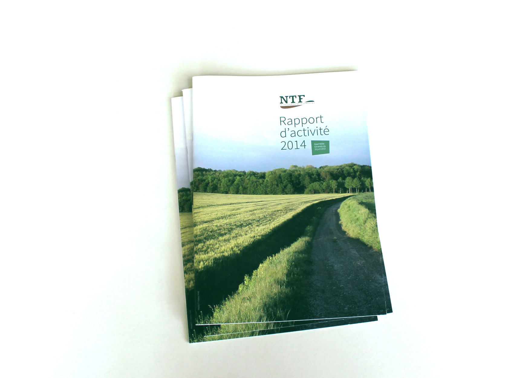 RAPPORT D’ACTIVITÉ 2014 POUR NTF