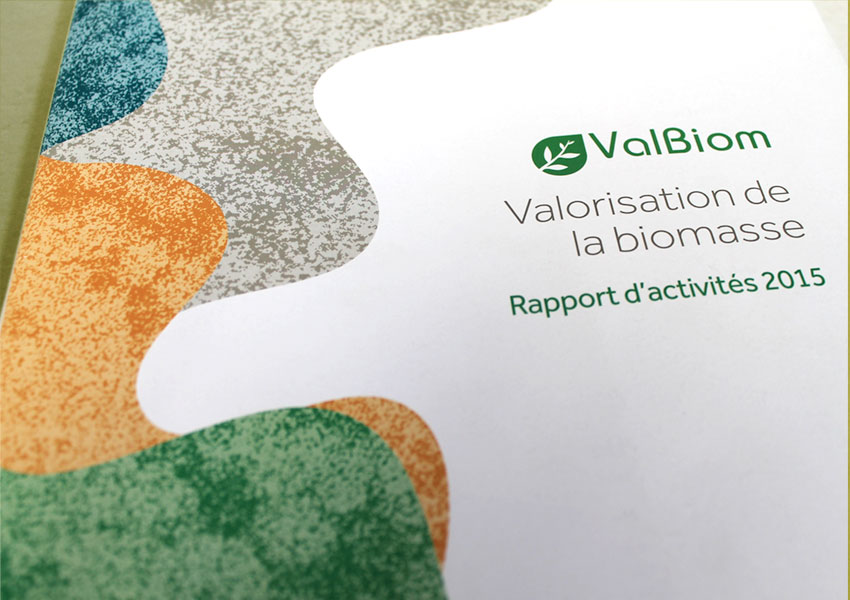 RAPPORT D’ACTIVITÉS POUR VALBIOM