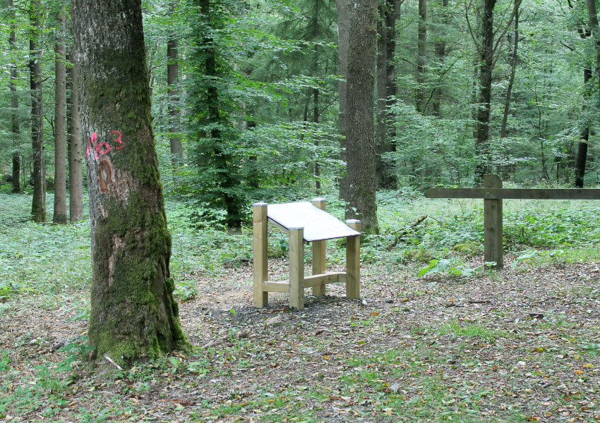 BORNES DIDACTIQUES EN FORÊT